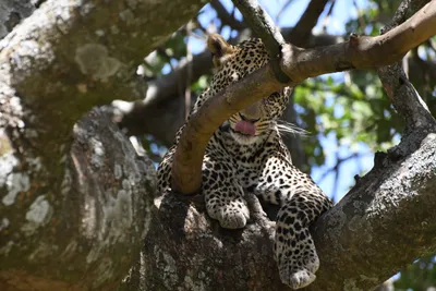 DSC_3973 (Large).JPG